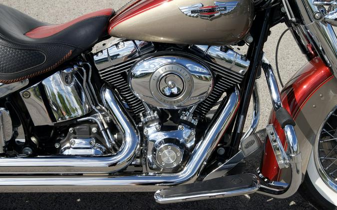 2009 Harley-Davidson® FLSTN Softail Deluxe