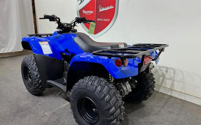 2023 Honda® Fourtrax Recon