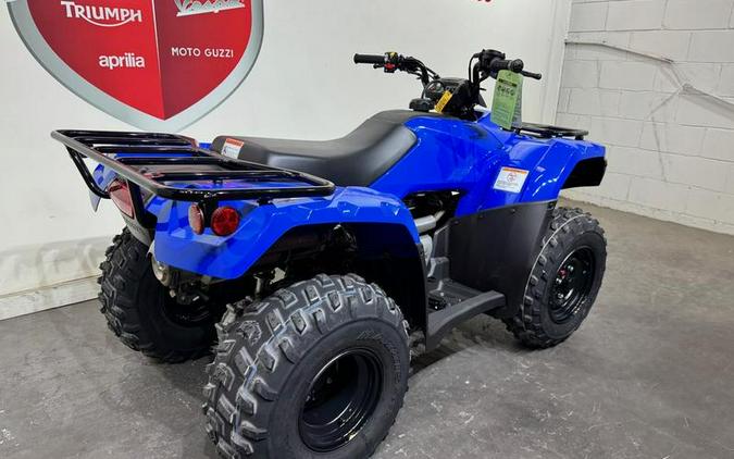 2023 Honda® Fourtrax Recon