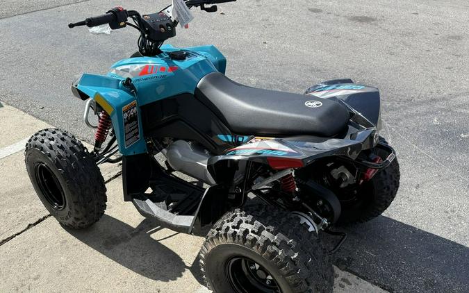 2026 Can-Am® Renegade 110 EFI