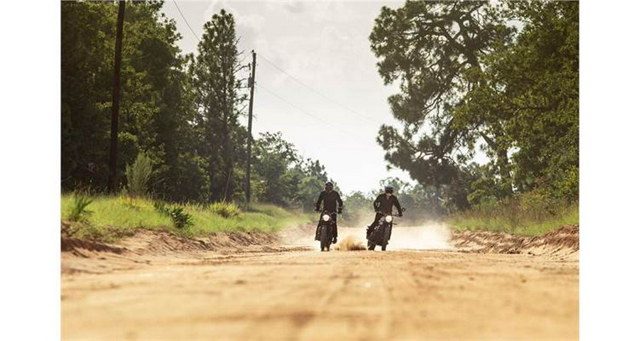 2019 Triumph Street Scrambler (Color)