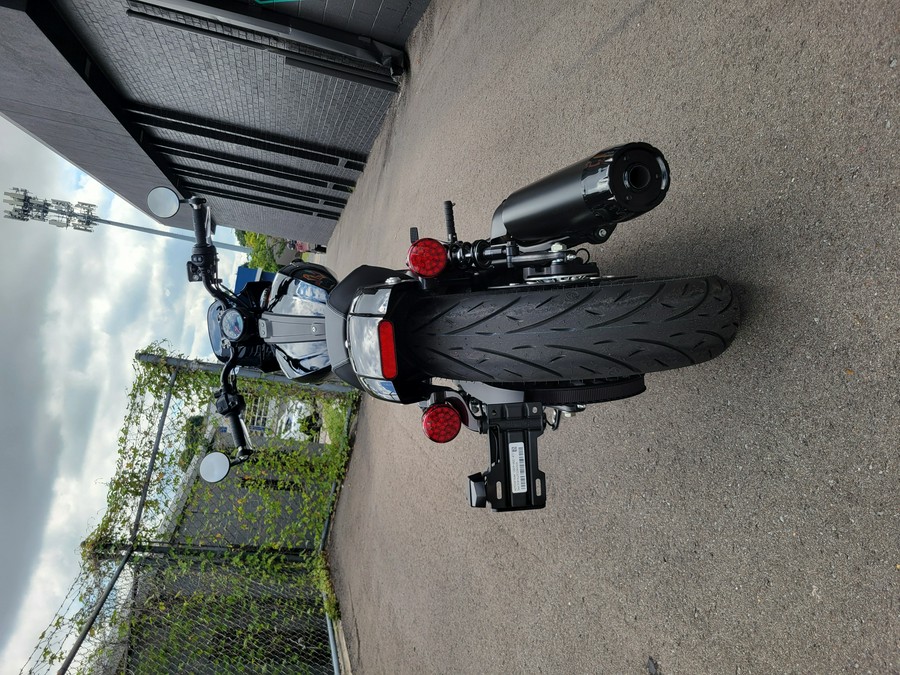 2025 Indian Sport Scout®