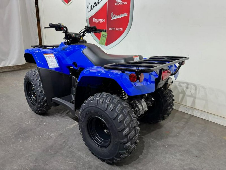 2023 Honda® Fourtrax Recon