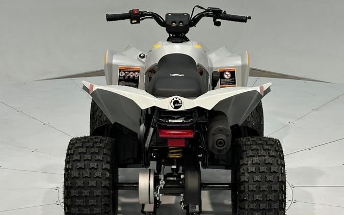 2024 Can-Am Renegade 70 EFI