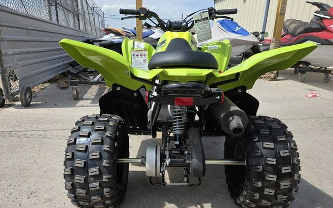 2026 Yamaha Raptor 110
