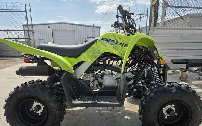 2026 Yamaha Raptor 110