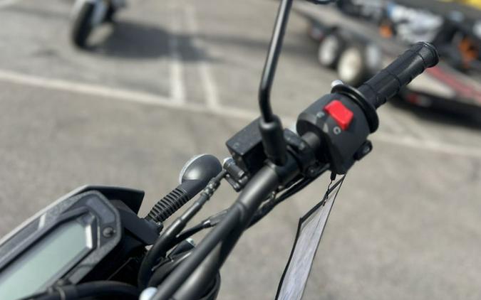 2025 Kawasaki KLX230SM ABS