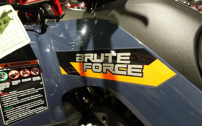 2026 Kawasaki Brute Force® 300