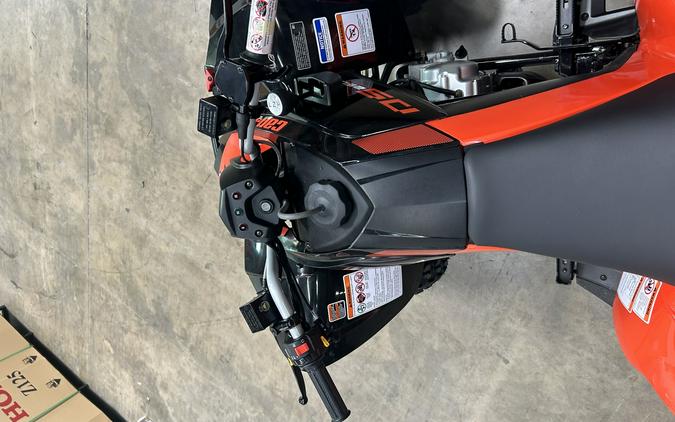 2026 Can-Am DS 250