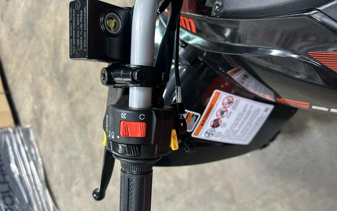 2026 Can-Am DS 250