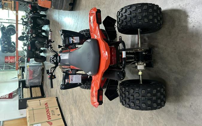 2026 Can-Am DS 250