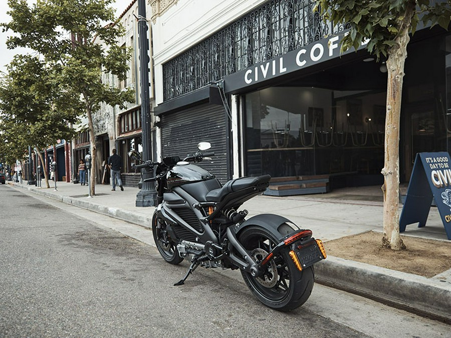 2020 Harley-Davidson LiveWire™ ELW