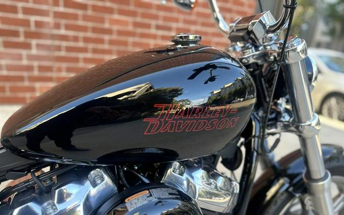 2024 Harley-Davidson® FXST - Softail® Standard