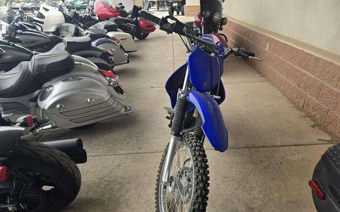 2025 YAMAHA TTR125LE