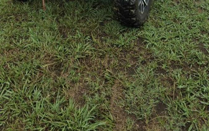 2024 Honda Pioneer 1000 Trail