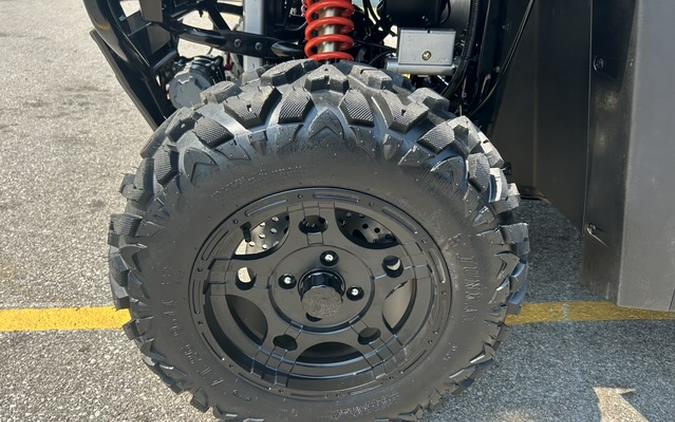 2026 DENAGO RANCHHAWK 650FI - D10601