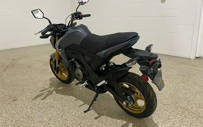 2024 Kawasaki Z125 Pro