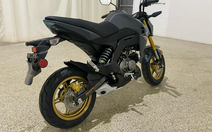 2024 Kawasaki Z125 Pro