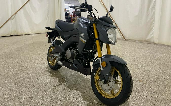 2024 Kawasaki Z125 Pro