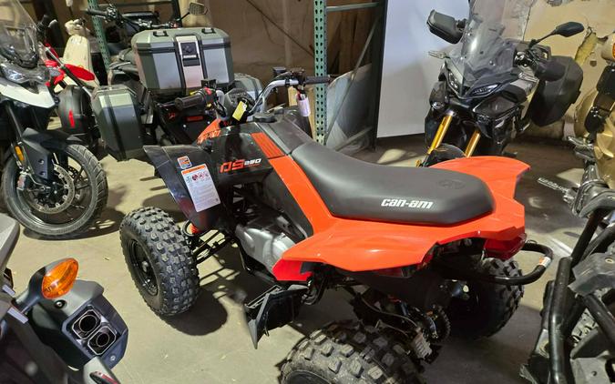 2025 Can-Am DS 250