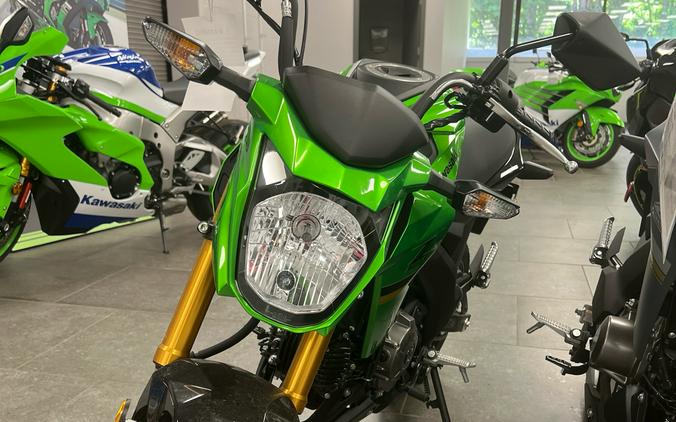 2024 Kawasaki Z125 Pro