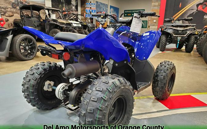 2024 Yamaha RAPTOR 110