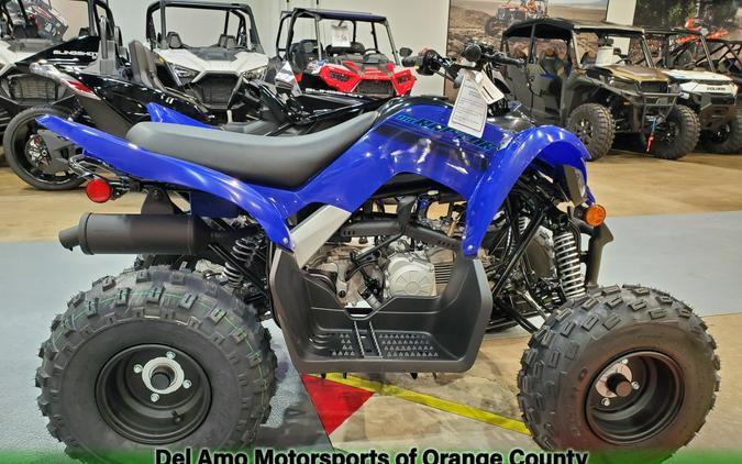 2024 Yamaha RAPTOR 110