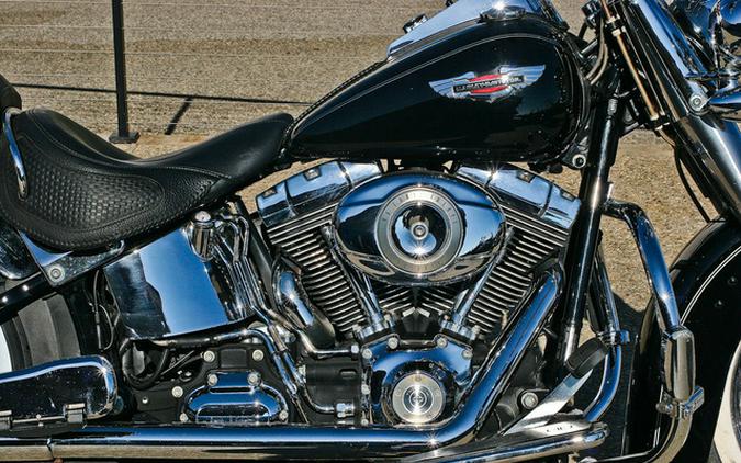 2009 Harley-Davidson Softail FLSTN - Deluxe