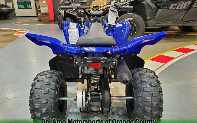 2024 Yamaha RAPTOR 110