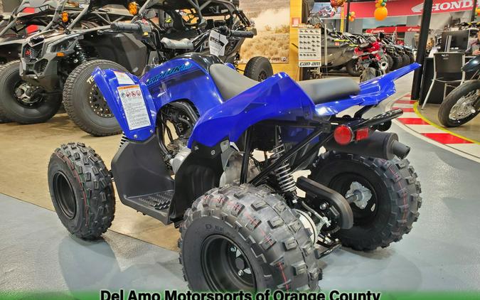 2024 Yamaha RAPTOR 110