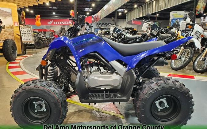 2024 Yamaha RAPTOR 110