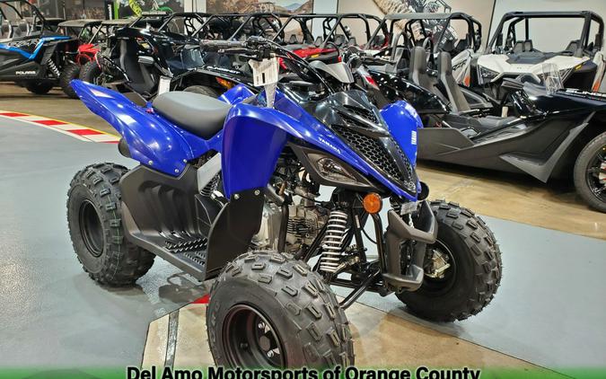 2024 Yamaha RAPTOR 110