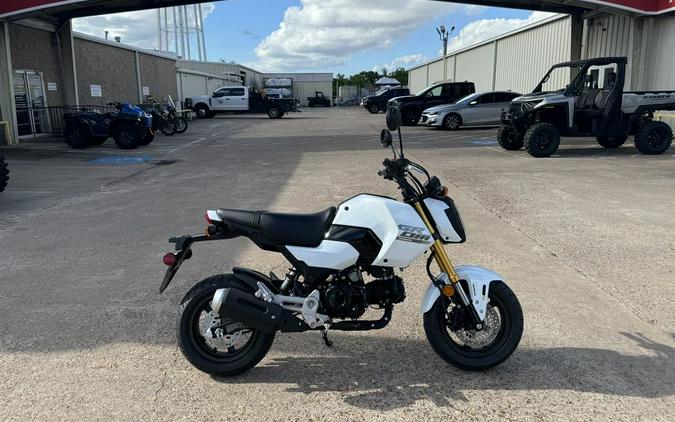 2025 Honda® Grom