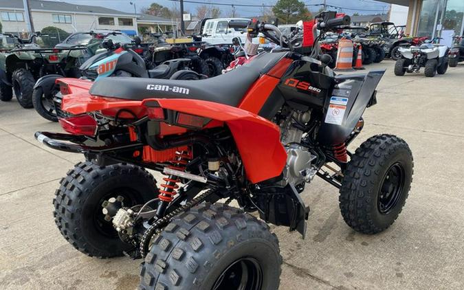 2024 Can-Am DS 250