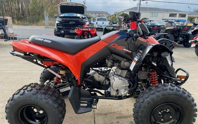 2024 Can-Am DS 250