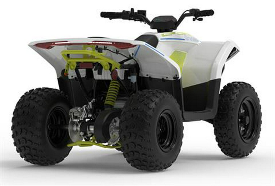 2024 CFMOTO CForce EV110