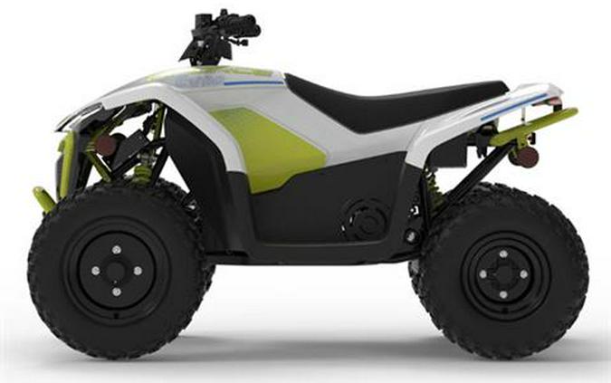 2024 CFMOTO CForce EV110