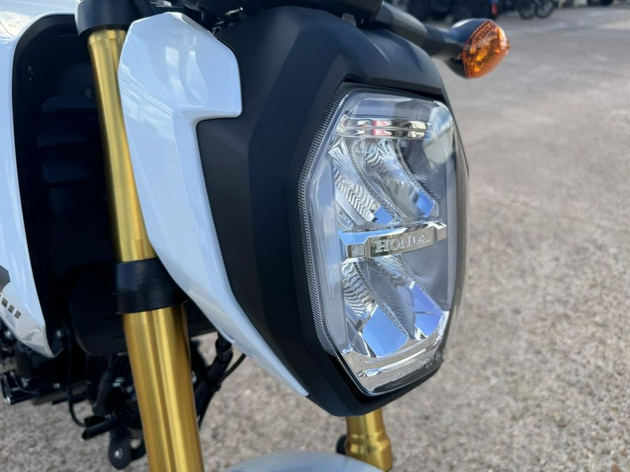 2025 Honda® Grom