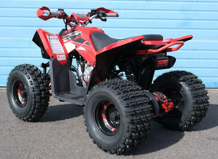 2026 Denago Powersports Trailhawk 10 FI