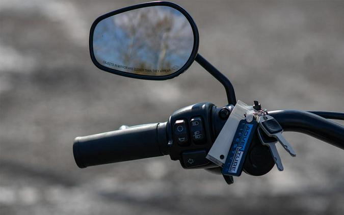 2021 Harley-Davidson® FXLRS - Low Rider® S