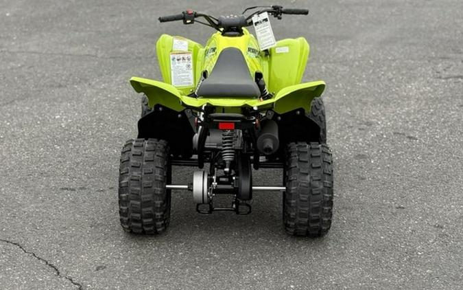 2026 Yamaha Raptor 110
