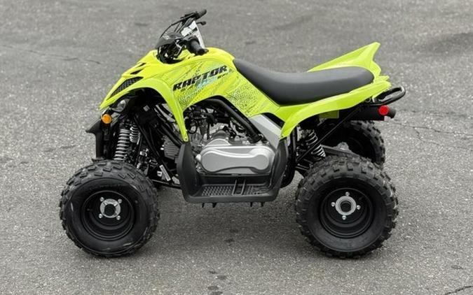 2026 Yamaha Raptor 110