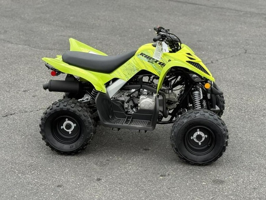 2026 Yamaha Raptor 110