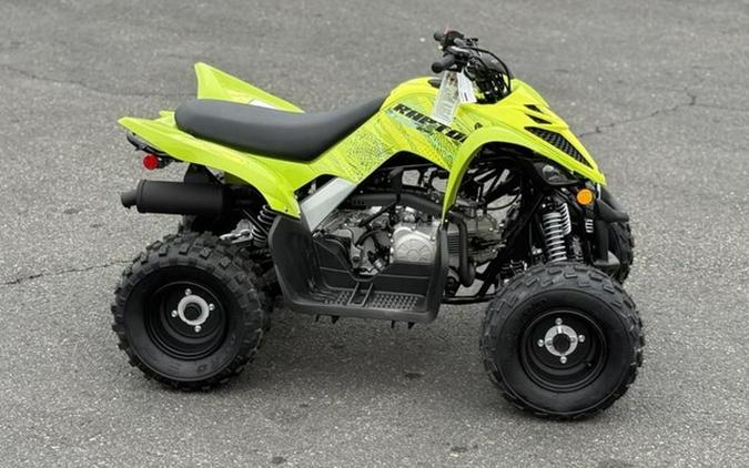 2026 Yamaha Raptor 110