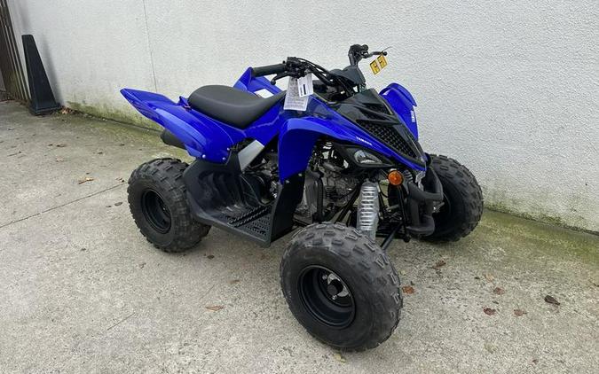 2024 Yamaha Raptor 110