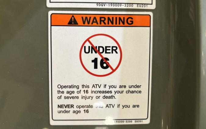 2026 CFMOTO CFORCE 400