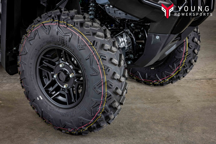 2027 Honda RUBICON 700 - VJ300023