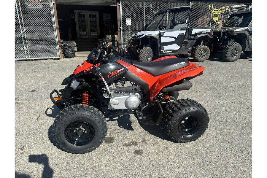 2024 Can-Am Can-AM DS 250