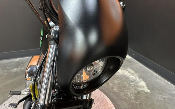 2021 Harley-Davidson Sportster XL1200NS - Iron 1200