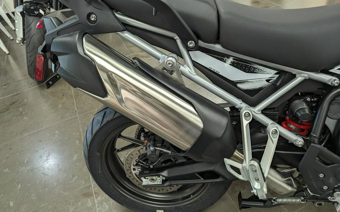 2024 Triumph Tiger 900 GT Pro